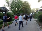  Marathonis kurz nach der Startlinie 